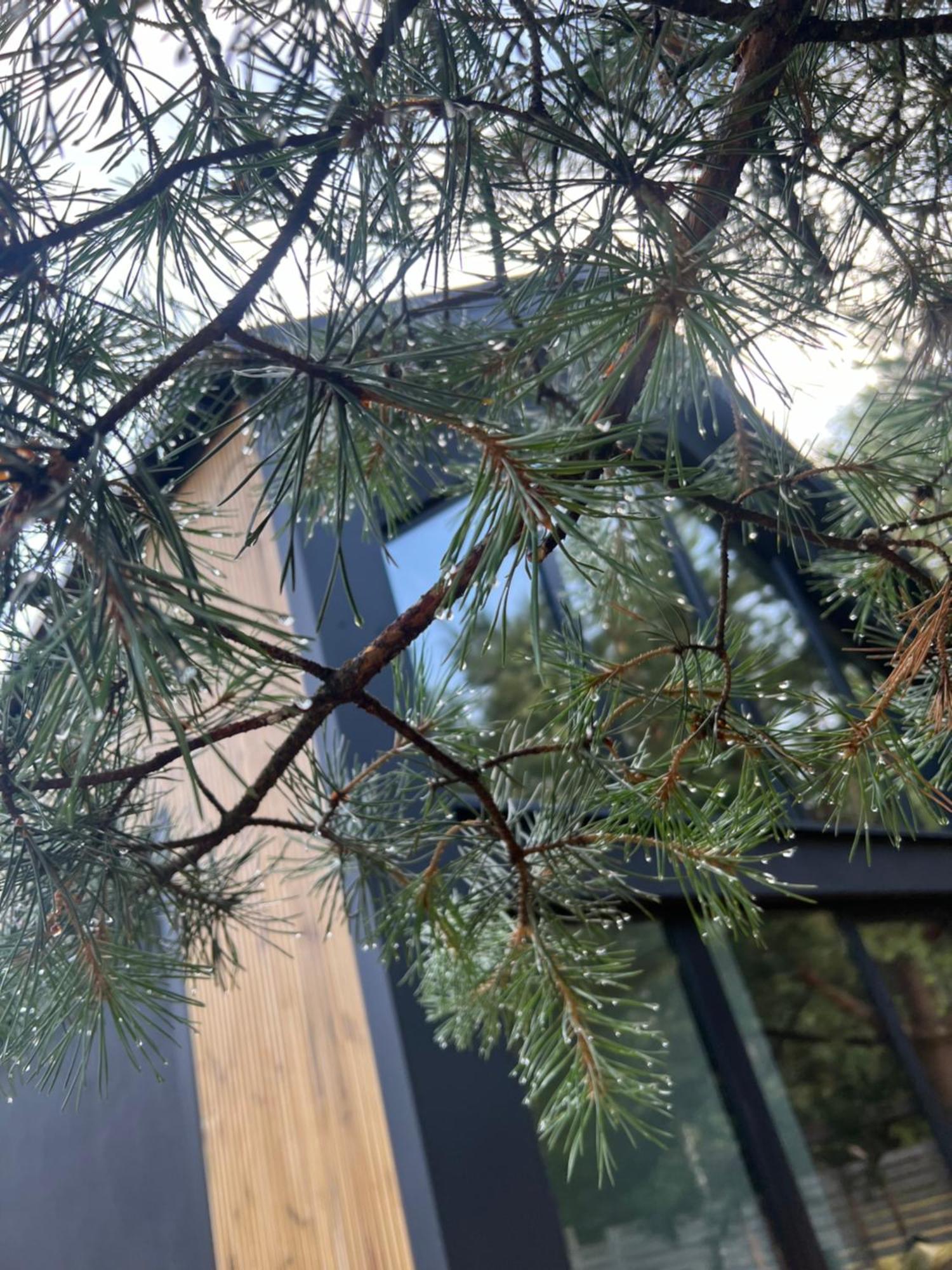 Zakatek Lipowy Most Exteriér fotografie