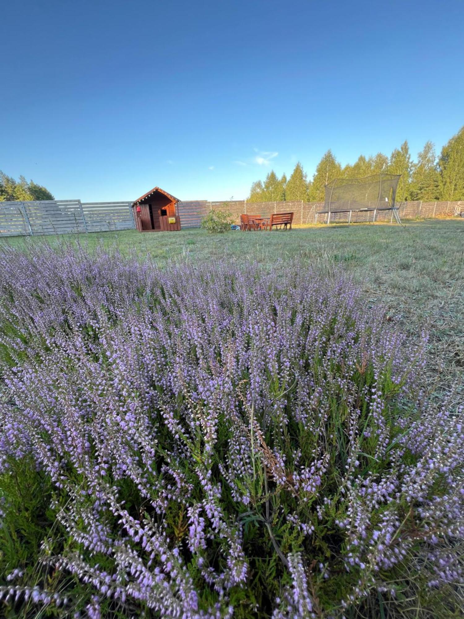 Zakatek Lipowy Most Exteriér fotografie